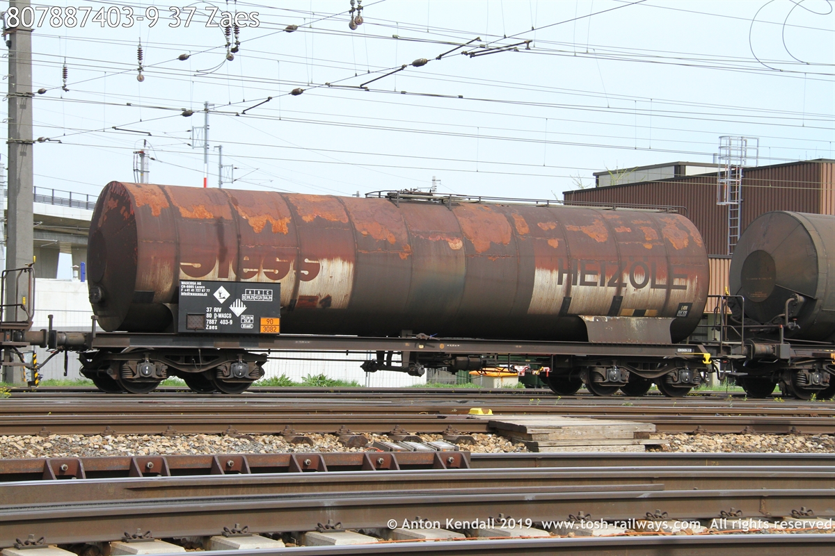 807887403-9_37 Zaes.JPG